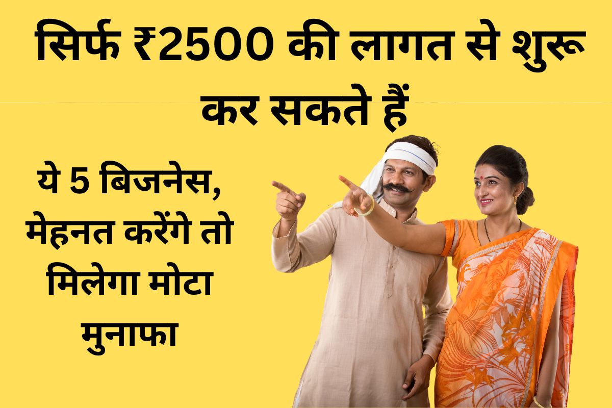 Village Business Ideas in Hindi 2024: सिर्फ ₹2500 की लागत से शुरू कर सकते हैं ये 5 बिजनेस, मेहनत करेंगे तो मिलेगा मोटा मुनाफा