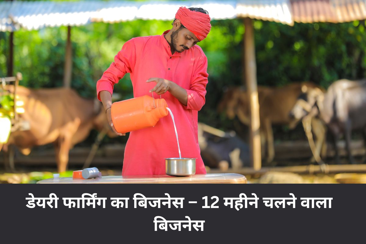 12 महीने सबसे ज्यादा पैसा कमाने वाला बिजनेस कौन सा है. 12 महीने चलने वाला बिजनेस